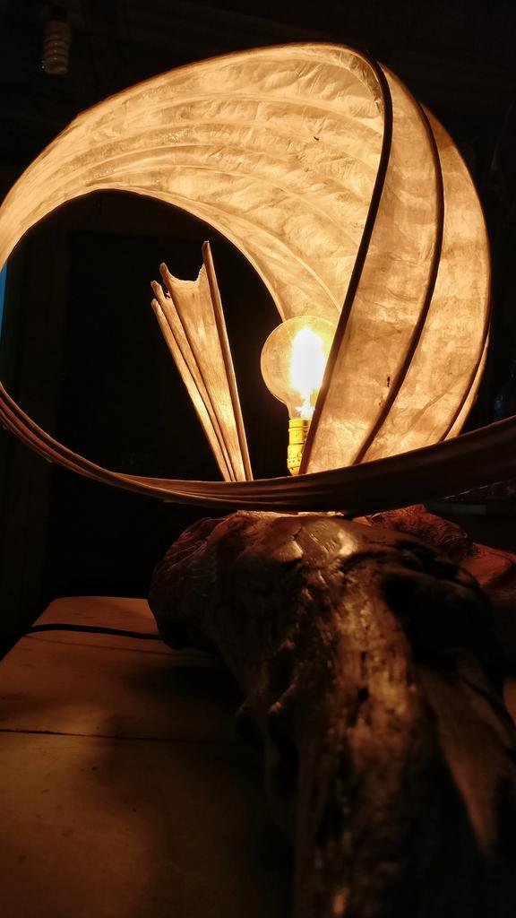 sannder's tweet photo. Estas son las 8 lámparas hechas hasta el momento,  pronto a la venta bajo el nombre "Oröki : Esculturas de Luz" #4 #oroki #artecr #costarica https://t.co/Qjct7erZLC
