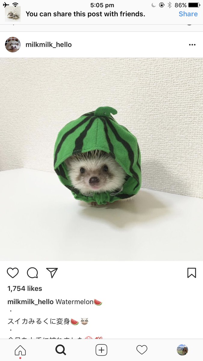 maja 🔭🍒 tweet media