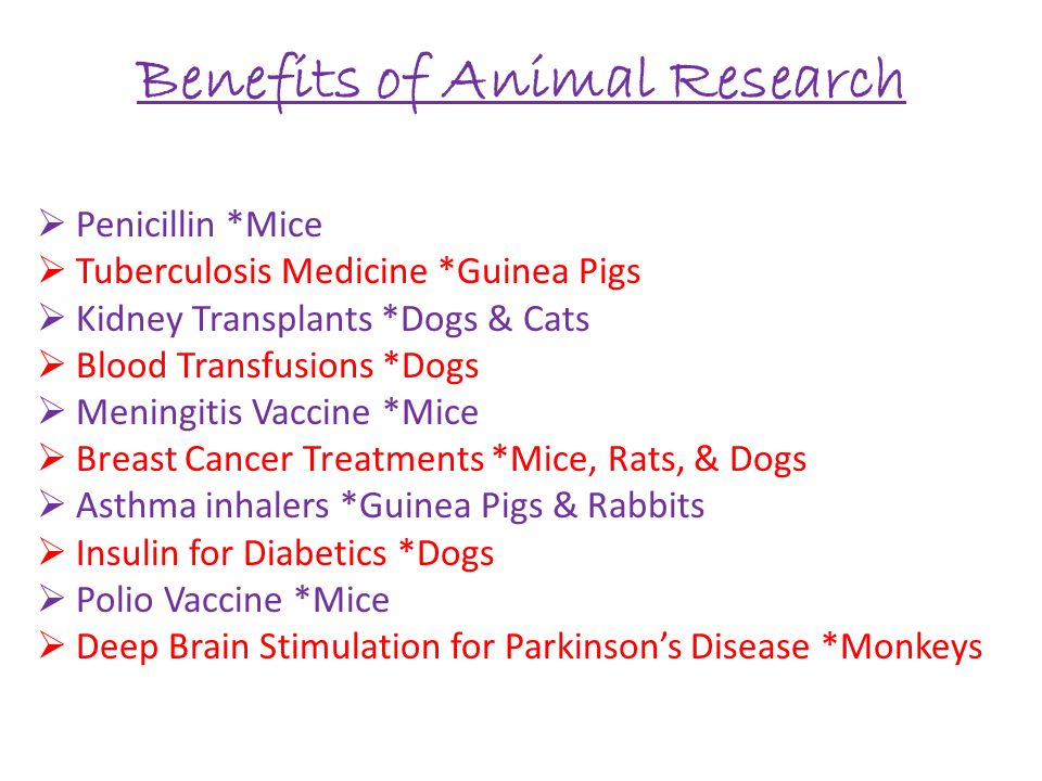 Animal Experiments (@SayYesToTesting) / Twitter Animal Experiments (@SayYesToTesting) / Twitter