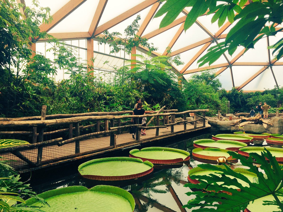 Bezoek aan #Amazonica <a href="/RotterdamZoo/">Diergaarde Blijdorp</a> met onze geodetische koepel in hout: krijgt hoogste waardering bezoekers: 9! <a href="/Arc2architecten/">Arc2 architecten</a> <a href="/abluning/">ABL</a>