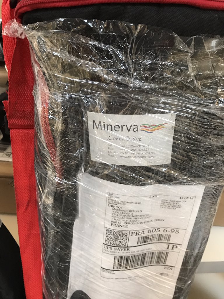 Montaut's tweet photo. @CommBeBiz @RhondaMinerva The #CommBeBiz roll up has been carefully wrapped and ready for #EBNCongress ! @EUBIC @LauraLecci @Marion_EBN https://t.co/RobV7K3Jpa