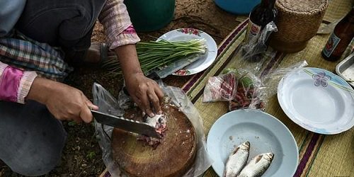 TimesOnlineLK's tweet photo. Doctors warn avoid eating raw fish dishes in Thailand. Find out why
#Thailand #fish #Cancer #fishparasite
https://t.co/njbnDaXIEO https://t.co/aIYiafEFfa