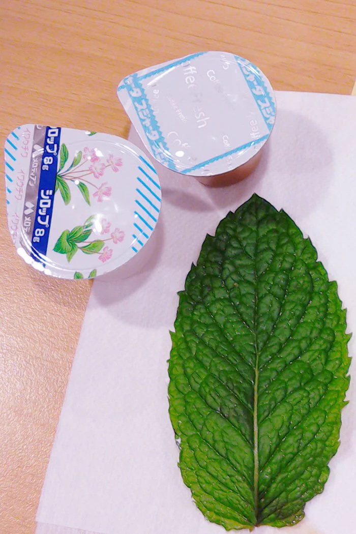 デカすぎてやばいwwガストのパフェに乗っているミントが育ちすぎているww