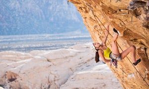 KateRaynerVA's tweet photo. Via @Guardian | 'Eight dos and don'ts for launching a successful business' https://t.co/f7OlfLFhL5 https://t.co/ZyqSKcOsJr