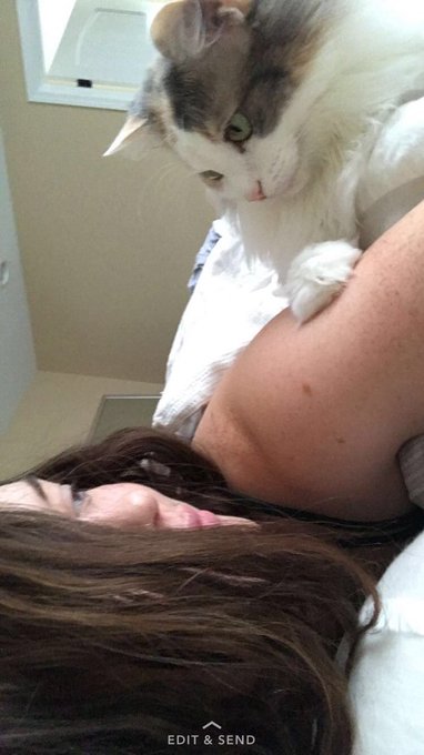 Belle loves me and I love her 💕😻 https://t.co/GaErVPUchp<a href="/tag/newprofilepic"class="tags"><span>#newprofilepic</span></a>