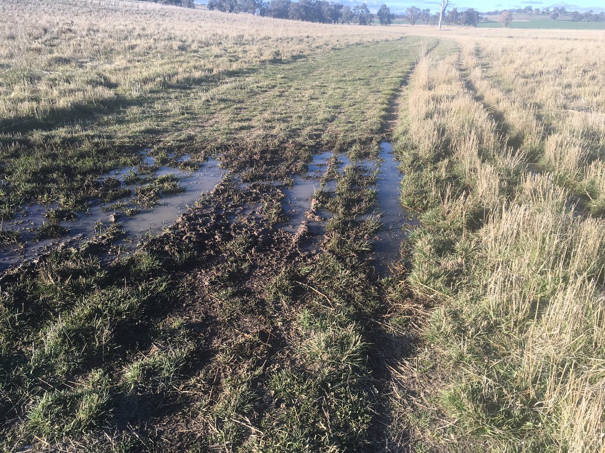 Noticed the springs have opened up over the last 2 weeks hoping that's a sign of things to come 🌨
