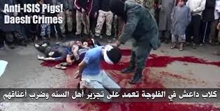 داعش يقتل السنه يامخنثين اين السنتكم تكلمو