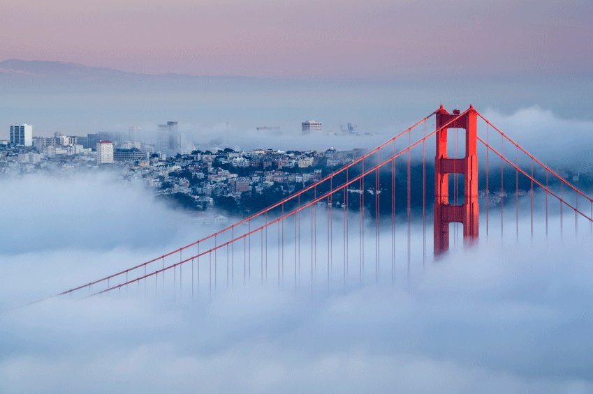 TheVaporNinja photo
