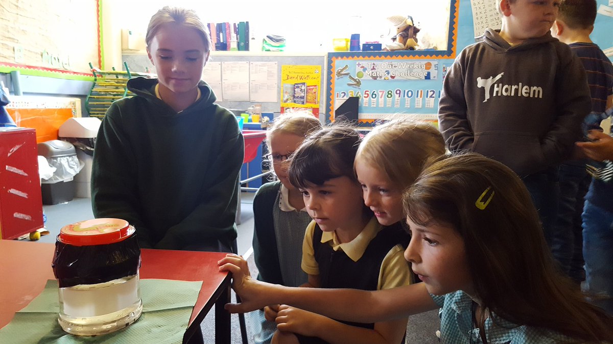 Thank you to one of our Year 6 pupils for bringing in 3 tadpoles for us to look after! #lifecycle #beingcareful