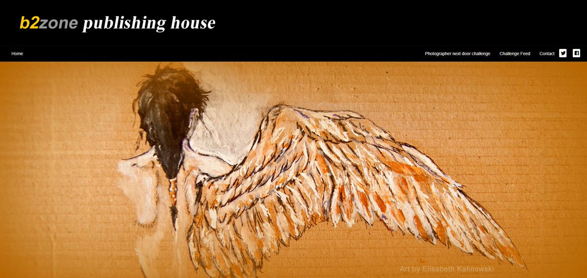 b2zone_COM's tweet image. publishinghouse.b2zone.com  #b2zone we are looking for the best 3 product photographs worldwide. retweet and tell a friendly photographer