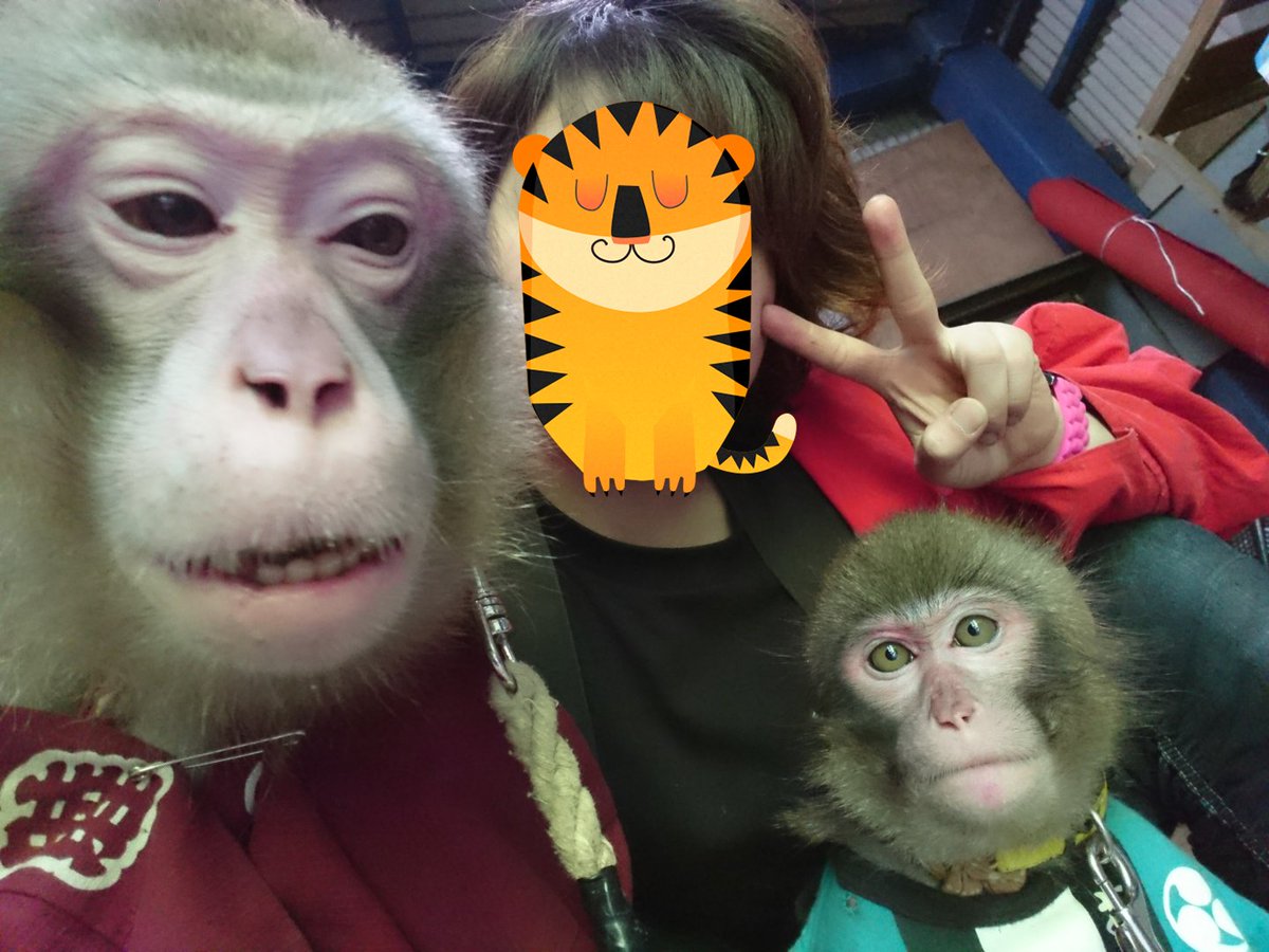 天才 志村どうぶつ園 で日本一人の来ない動物園として紹介される 東筑波ユートピア に 番組内で断念した2 000万の改装費に クラウドファンディングで募れば の声が相次ぐ Togetter 天才 志村どうぶつ園 で日本一人の来ない動物園として紹介される 東筑波ユートピア に 番組内で断念した2 000万の改装費に クラウドファンディングで募れば の声が相次ぐ Togetter