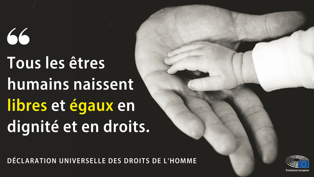 Europarl_FR's tweet photo. 73 % des Européens souhaitent que l’UE agisse davantage pour promouvoir la démocratie et la paix dans le monde → https://t.co/SUkUOwGRIB https://t.co/M7JomFkBtn