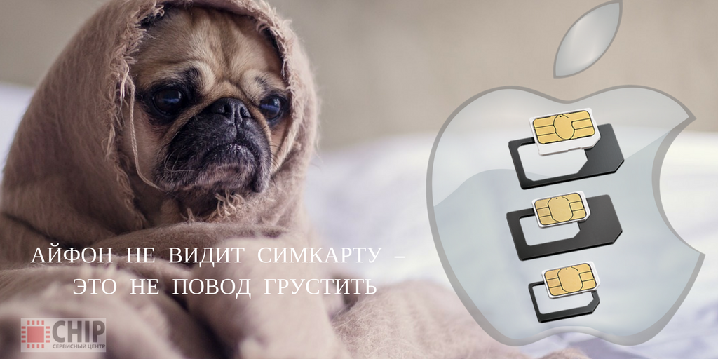 chip_irkutsk's tweet photo. #iphone не видит #simcard - легко исправить!
Подробнее 👉https://t.co/gNjwf7CEB0
#nanosimcard https://t.co/qy3wjBMSer