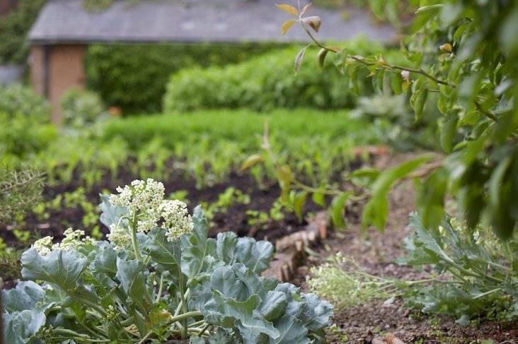 Thanks to .<a href="/gardenista/">Gardenista</a> magazine for a lovely article about the recent history &amp; beauty of the gardens here! bit.ly/2tjE9Ka #organic