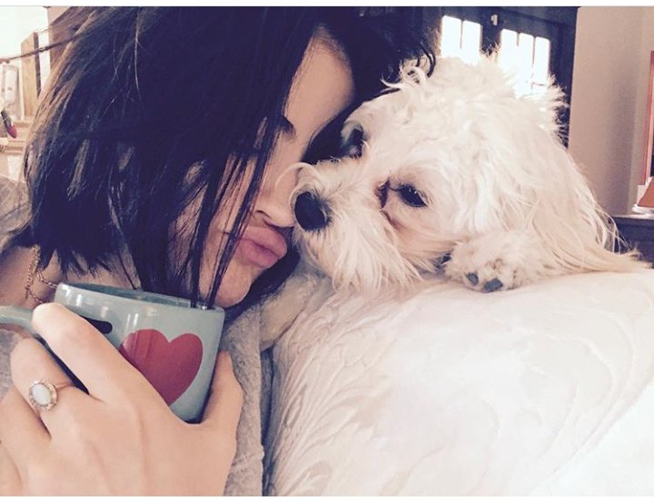 ᴀʀɪᴀ ғɪᴛᴢɢᴇʀᴀʟᴅ 
• ʟɪᴛ/ᴅᴇsᴄʀɪᴘᴛɪᴠᴇ 
• sᴇᴇᴋɪɴɢ sʟs / ᴍᴀɪɴs
• ɴᴏ ᴀʟᴇx ᴅʀᴀᴋᴇ ᴀs ᴀ. ᴅ. 
• ᴅᴀʀᴋ ᴛʜᴇᴍᴇs / ᴍᴀᴛᴜʀᴇ ᴄᴏɴᴛᴇɴᴛ 
• ʀᴛs ᴀᴘᴘʀᴇᴄɪᴀᴛᴇᴅ