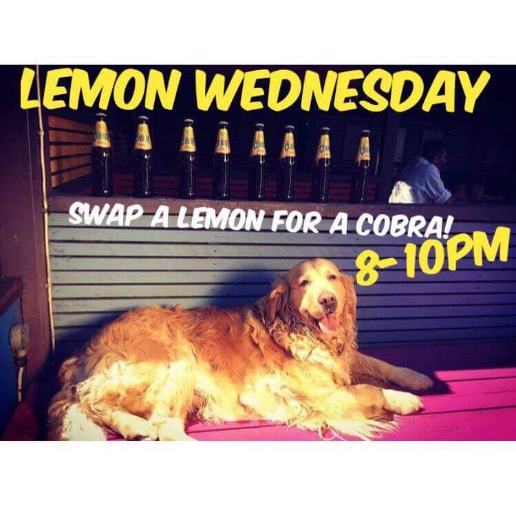 HobBrighton's tweet image. Bring us those lemons! 🤗🍋 8-10pm #FREE @cobrabeer 😛 #Brighton #Wednesday #Cobra #Pubdog 🍋💛