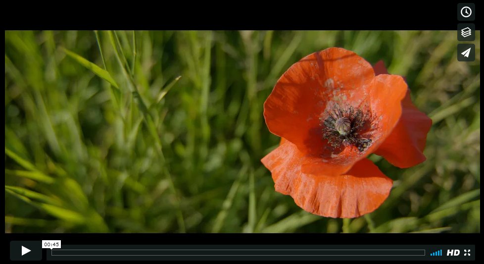 Fujifilm Optical tweet media