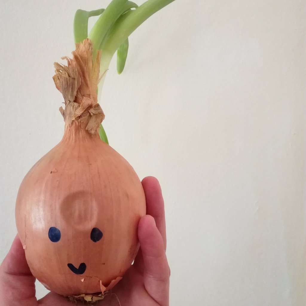 MartinPersil's tweet photo. On vous attend demain aux @lessiestes avec cet oignon mignon, nos smoothies et nos falafel-frites maison à partir de 16h ! ❤🌱💜 https://t.co/ylMVwMr9v6