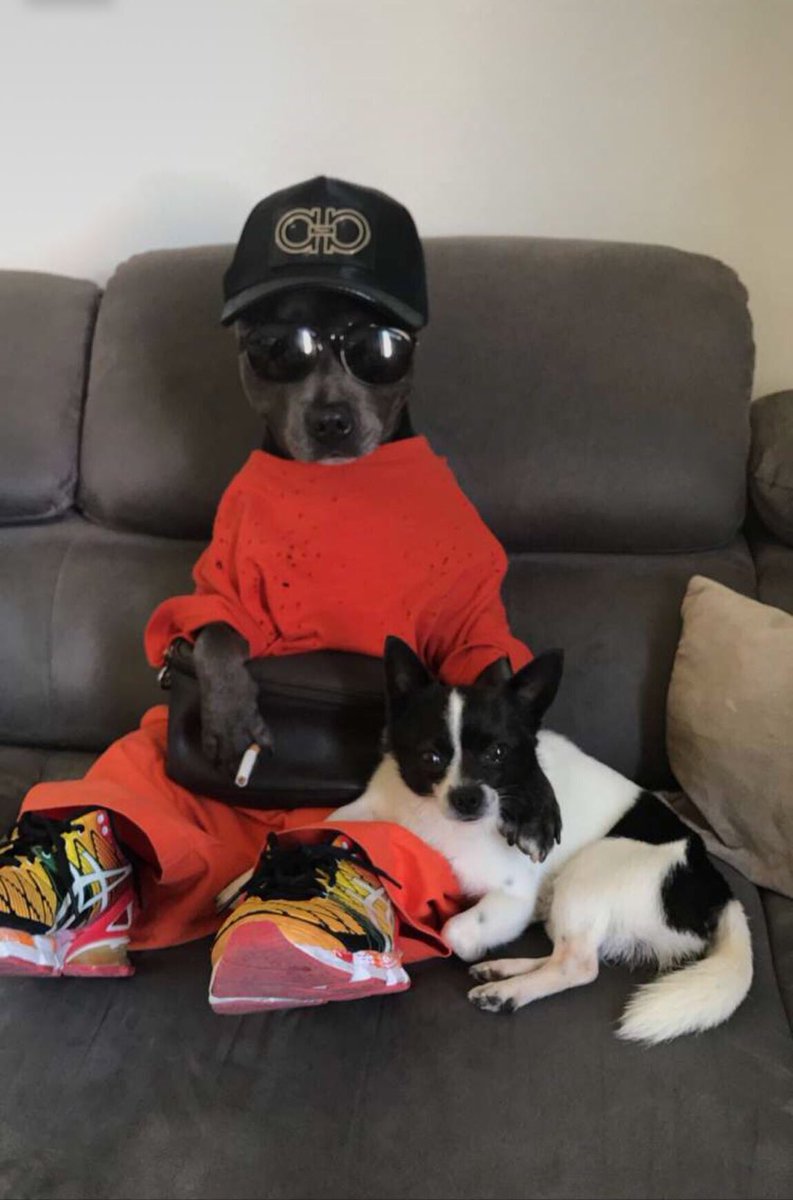 Seasonsart's tweet image. - Oe tu veu cb ?
- Un 20 stp...
- Mdr ta entendu ca Biscotte, i veu un 20 le fou, eh ya pa d 20 ici ke d 50