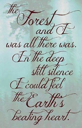 _Zalanka's tweet photo. Reminders 
Enjoy your solitude
#wander #befree #beyou #wanderlust #werifesteria #earth #beinnature #inspiration #connect #yoursole #yoursoul https://t.co/cBXlKU27Tq