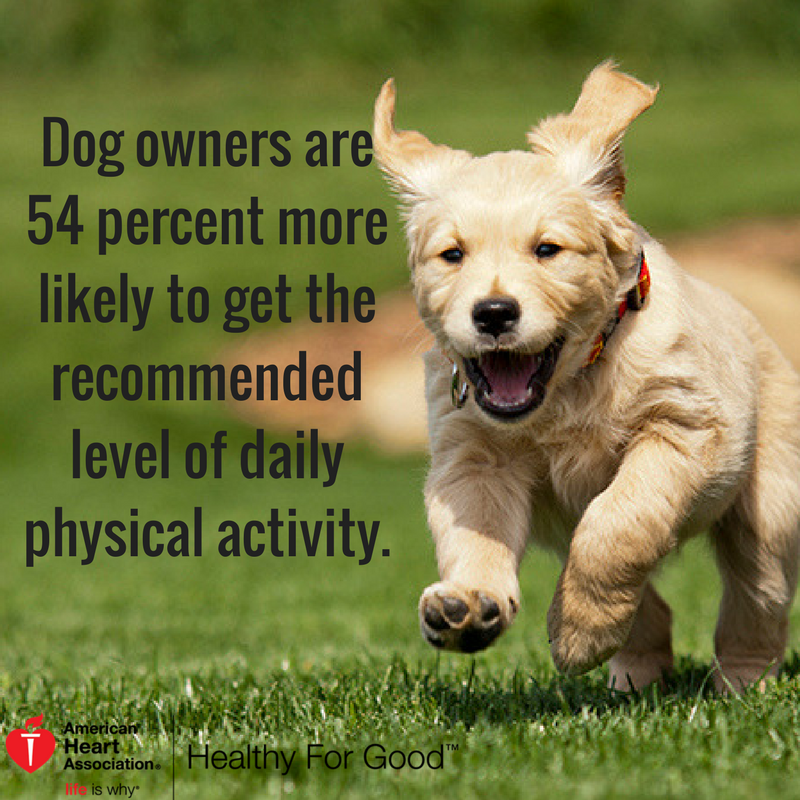 AmericanHeartSC's tweet photo. The American Heart Association recommends at least 20 minutes of moderate activity 5 days a week #HealthyForGood #CSRAiswhy @AUG_University https://t.co/PElUCV7QDc