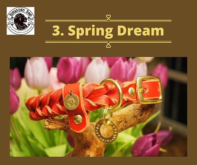 Our dog collar editions: 3. Spring Dream in Premium softleather, different colours : @bergisches_band