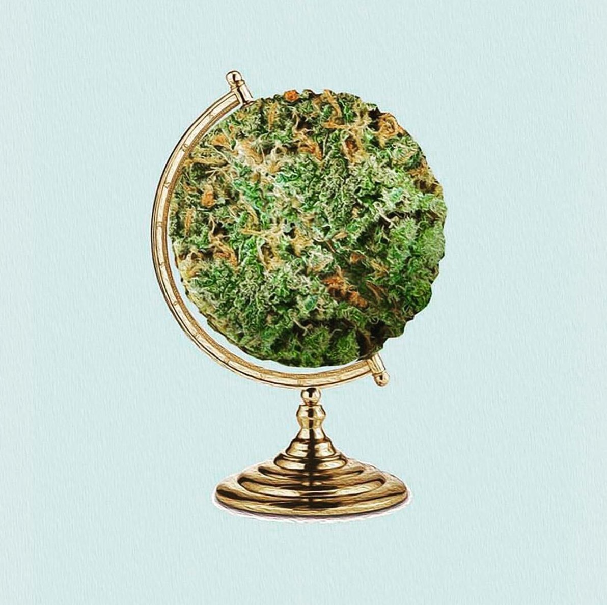 Welcome to the wide world of weed
