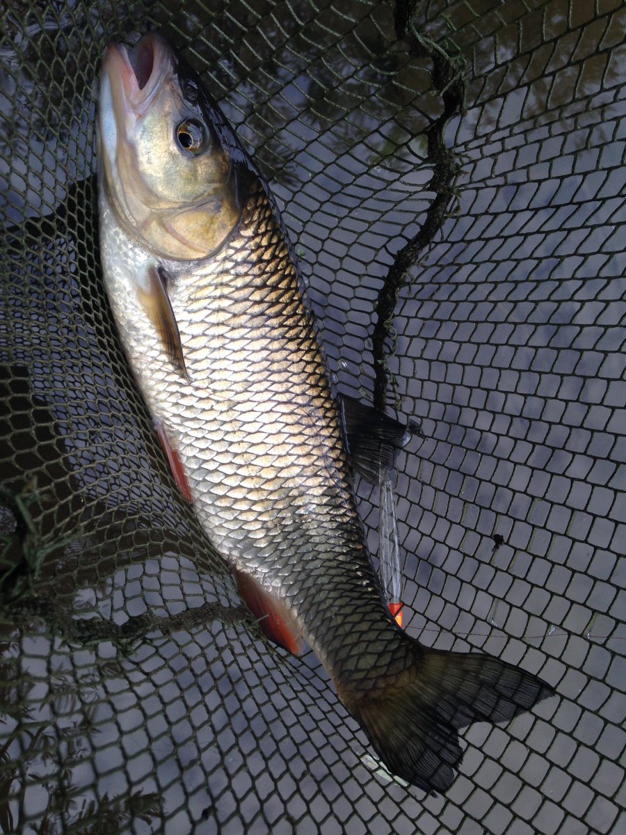cwcstickers's tweet photo. After work session simple pleasures #middleSevern https://t.co/WICd5dHyFc