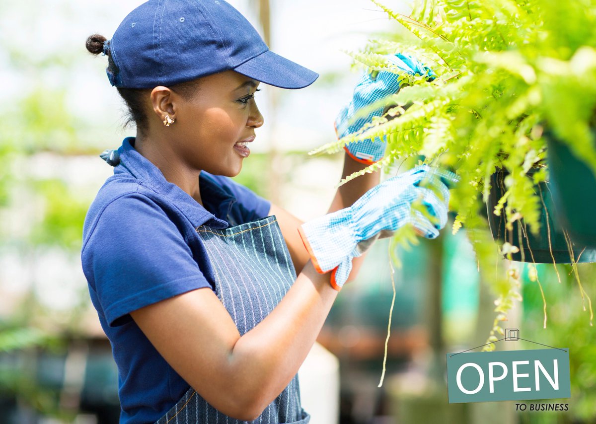 PlymouthMN_gov's tweet image. Own a small business or would like to start one? Free business consultations offered: bit.ly/2mjnP53 #PlymouthProud #OpentoBusiness