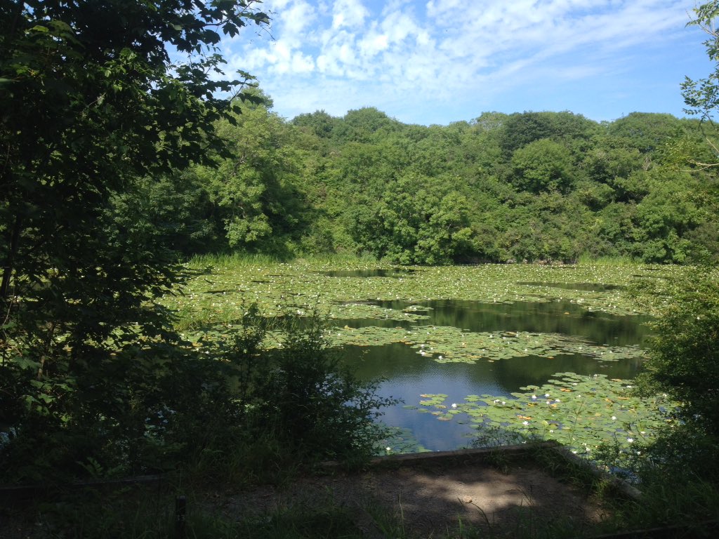 Morawelon's tweet photo. Beautiful Stackpole Estate Pembrokeshire #BroadhavenSouth #Bosherton @WalesCoastPath @VisitPembs @NTStackpole @WalksBritain @WalesHour https://t.co/NtcRqGaZ9o