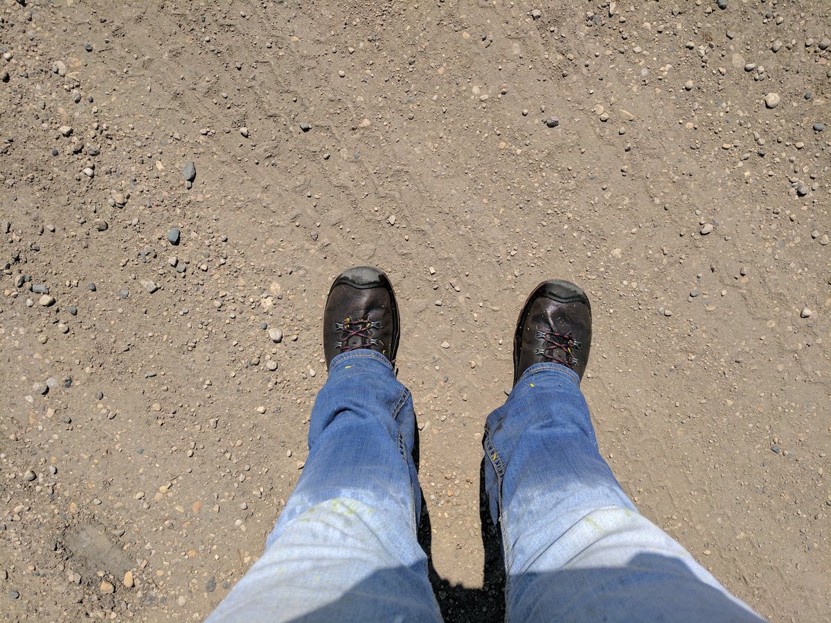 TLCourt's tweet image. It's 3:00 pm and 30 °C out, yet crop canopy is soaked. If you aren't spraying for disease, you should be. #sclerotinia #spray17