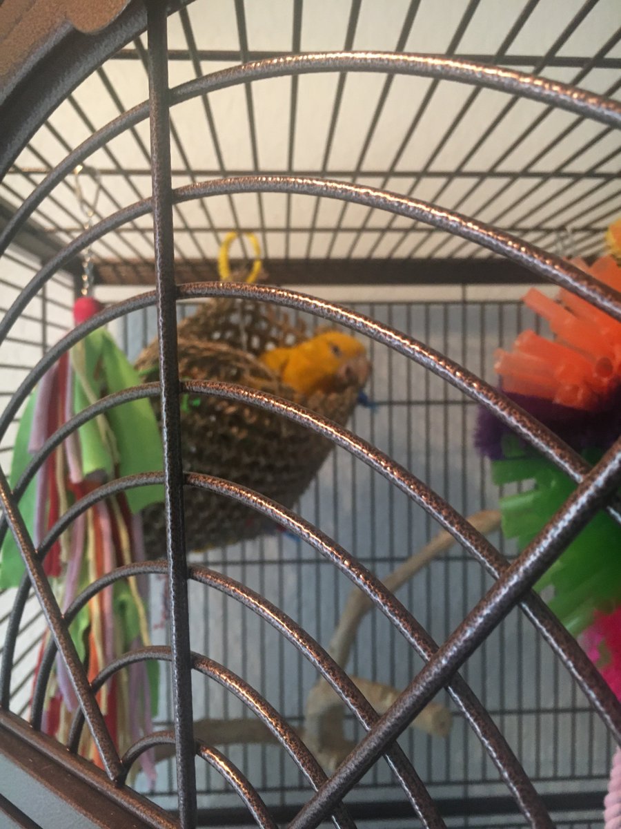 Erica Bayes tweet media