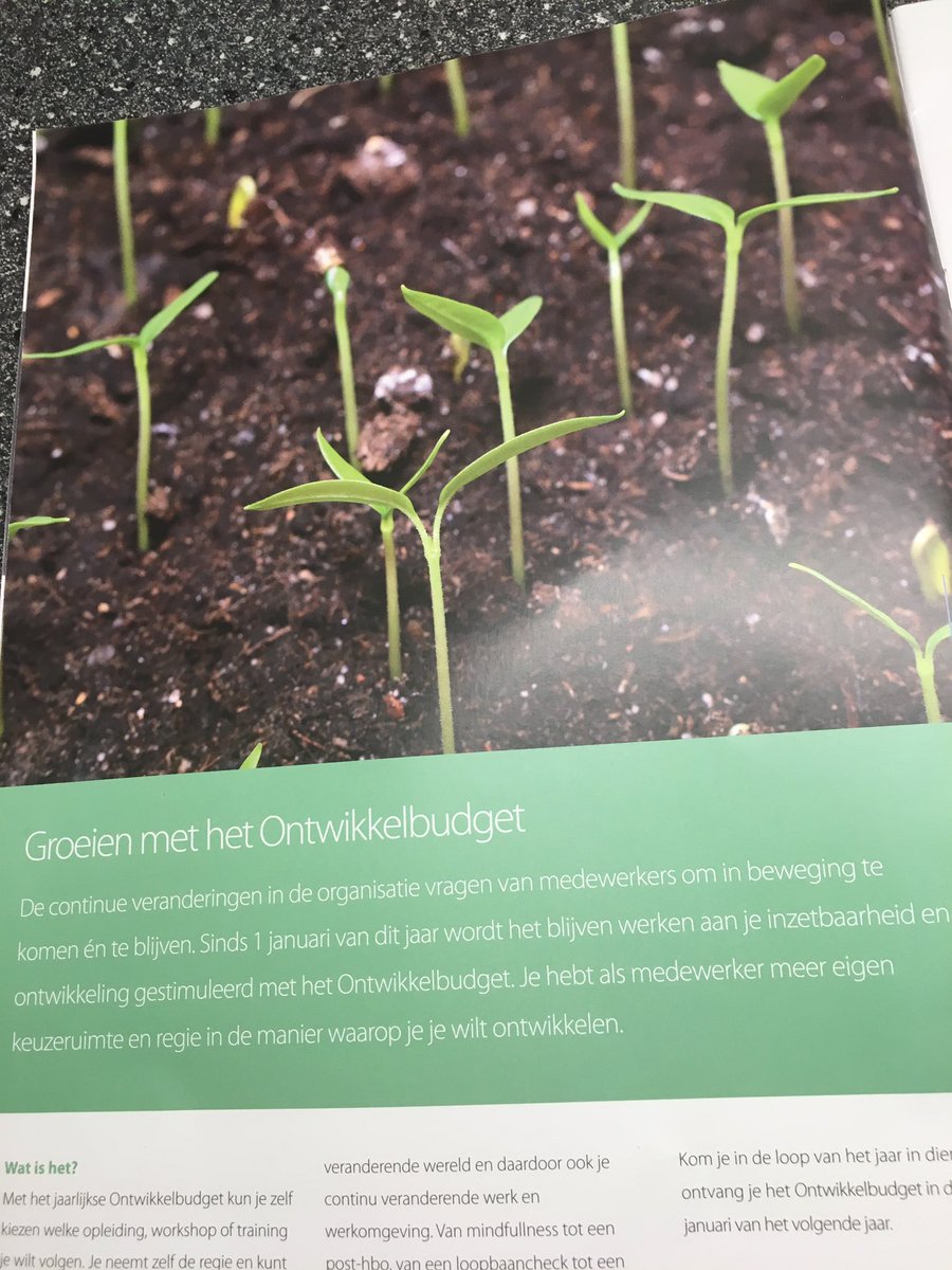 MirandaVdH1970's tweet photo. Het onkruid groeit in mijn tuin. Mezelf laat ik groeien met het #ontwikkel budget van @Rabo_EV https://t.co/T61gNERwjU