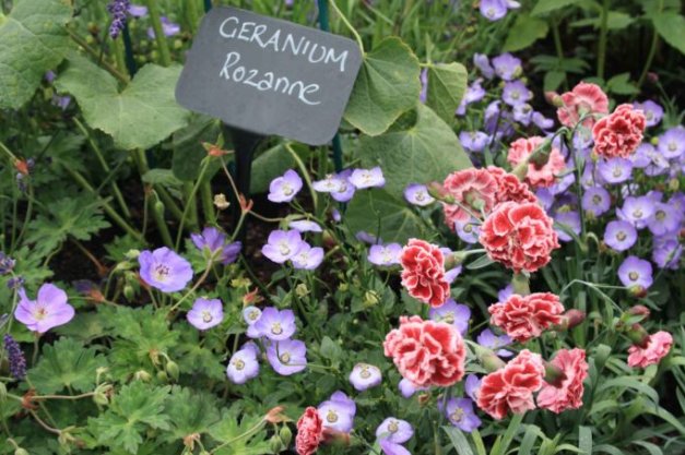The English Garden tweet media