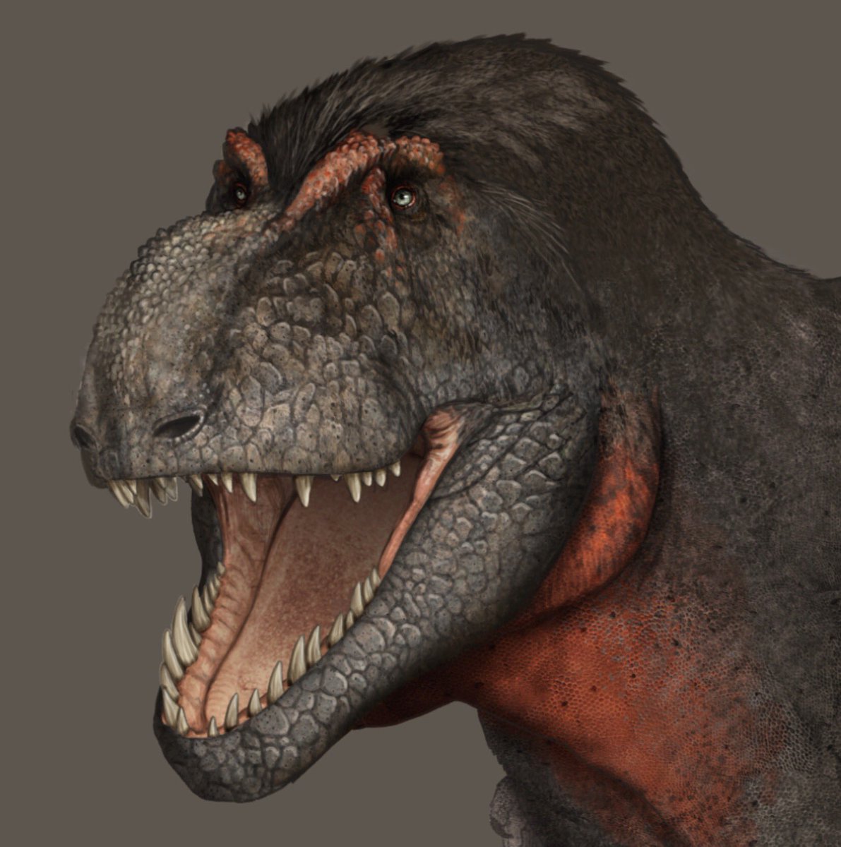 paleo trex
