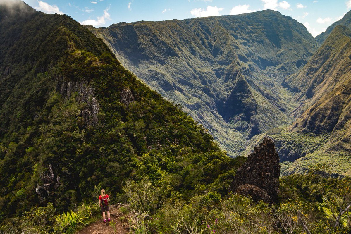 Electrify Magazine tweet media