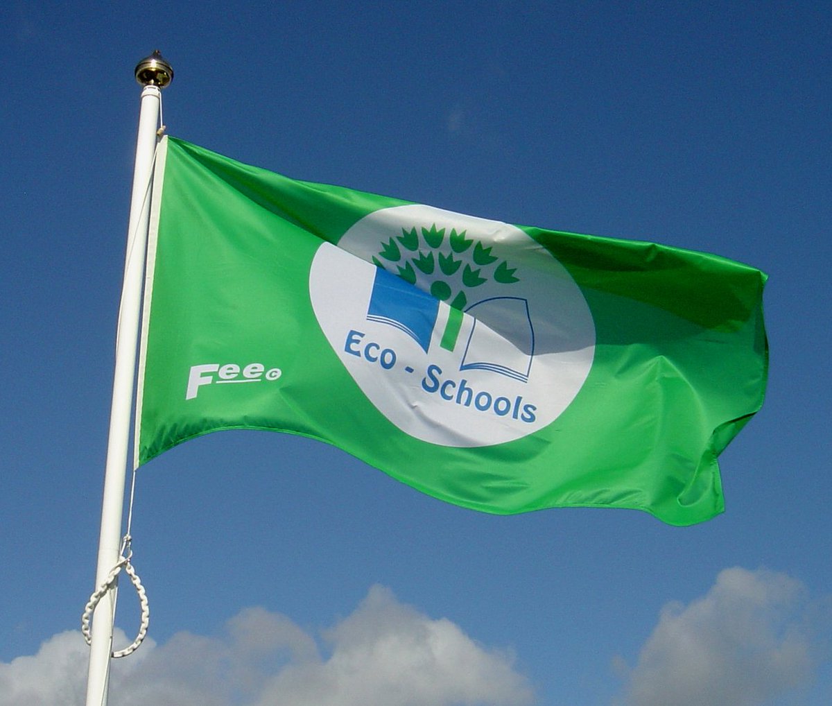 Eco-Schools England tweet media