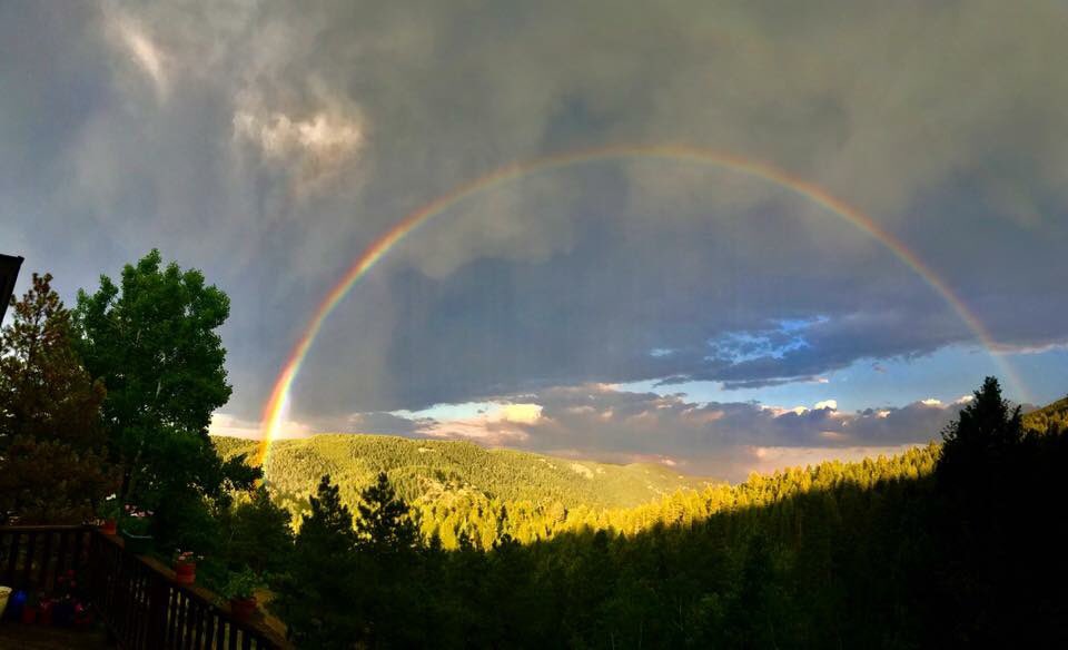 Pamela Smola tweet media