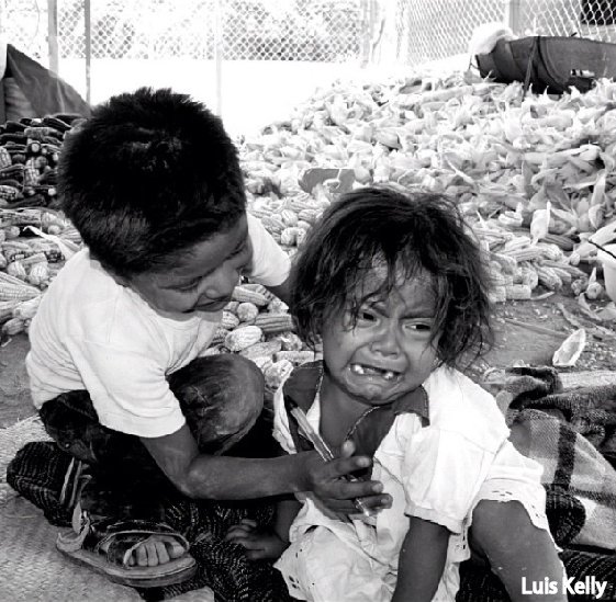 lkelly010's tweet photo. ¡No llores manita! https://t.co/XZhNfkWL3V