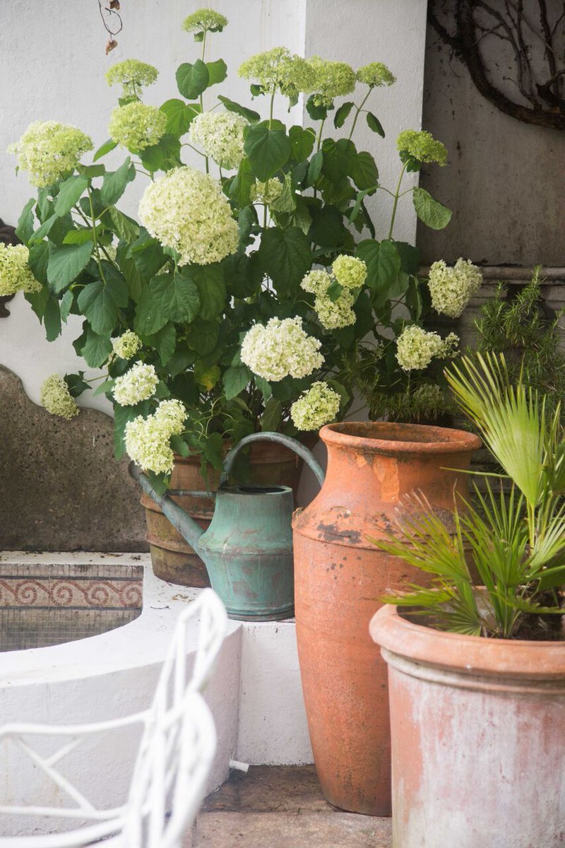 LorfordsAntiq's tweet photo. What a beautiful day! Time to get home and enjoy the sunshine... for garden antique inspiration have a browse here: https://t.co/GkBby5ouw9 https://t.co/zNKLavtfmx