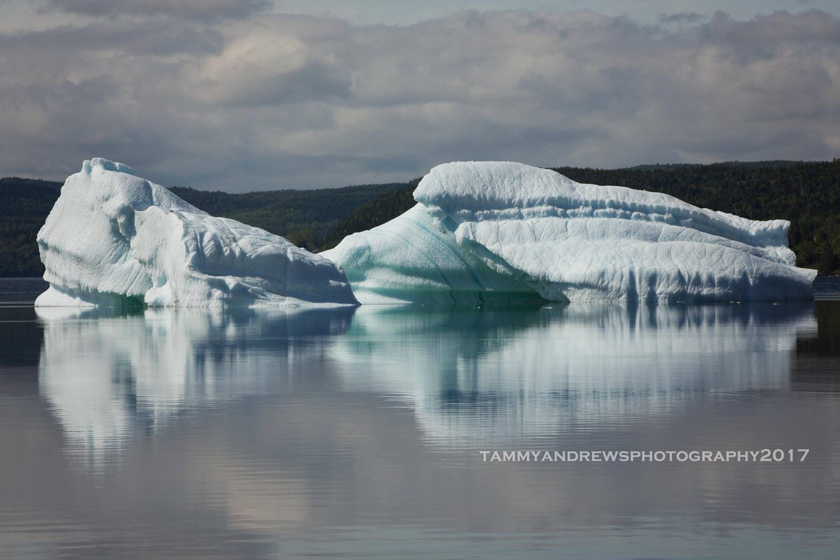 This beautiful iceberg is still sitting in our bay! Come visit us @ the Whale Pavilion while you're in town! Photo credit to <a href="/TammyAn222986/">Tammy Andrews</a>
