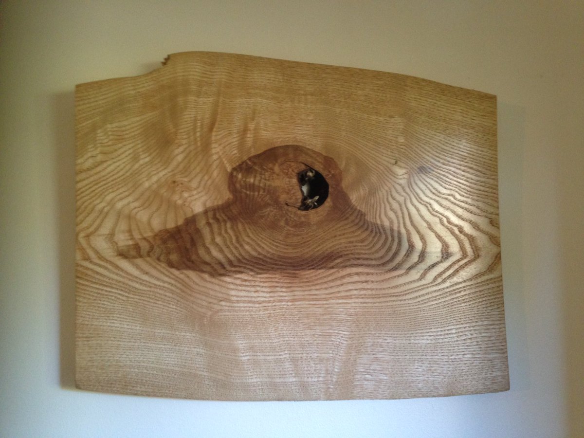 The House of Bees .. Unit 5 Gallery 
<a href="/CanterburyFest/">Canterbury Festival</a> 
    'A Question of Eradication and Education'