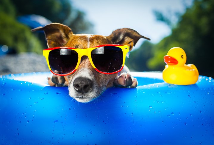 EmbroidMe_BB's tweet image. Top 5 promotional products that will help beat the summer heat bit.ly/2upTVRI #summerheat #beattheheat #staycool