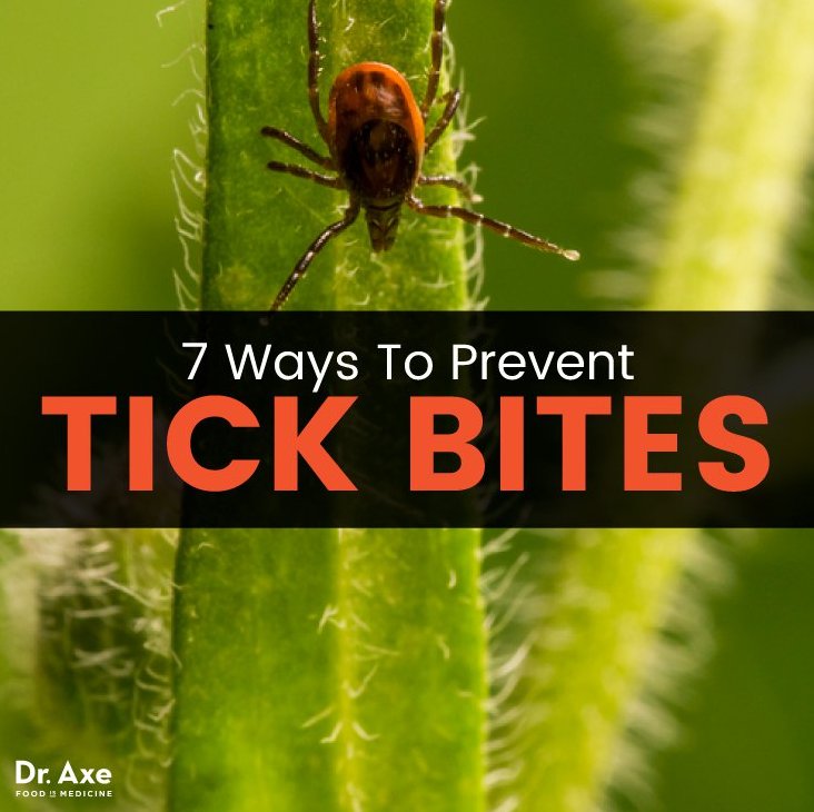 Avoid the Deadly Powassan Virus: 7 Ways to Prevent Tick Bites draxe.com/powassan-virus/ #TickBites ##PowassanVirus #BitePrevention