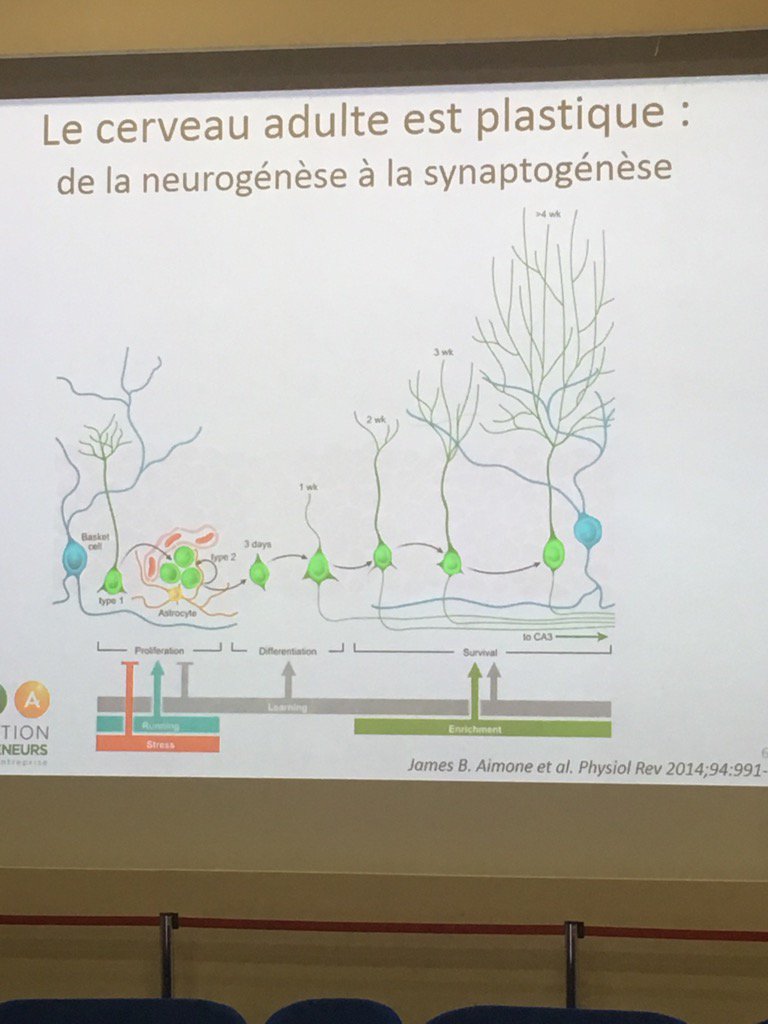 <a href="/Amarok_Obs/">Observatoire Amarok</a> " l'expérience transforme le cerveau" #FondationMMA #EntrepreneursDuFutur
