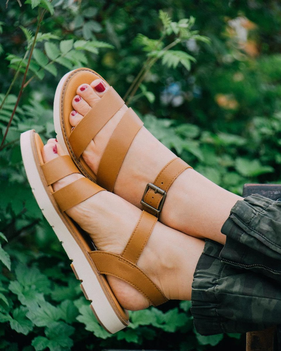 timberland bailey