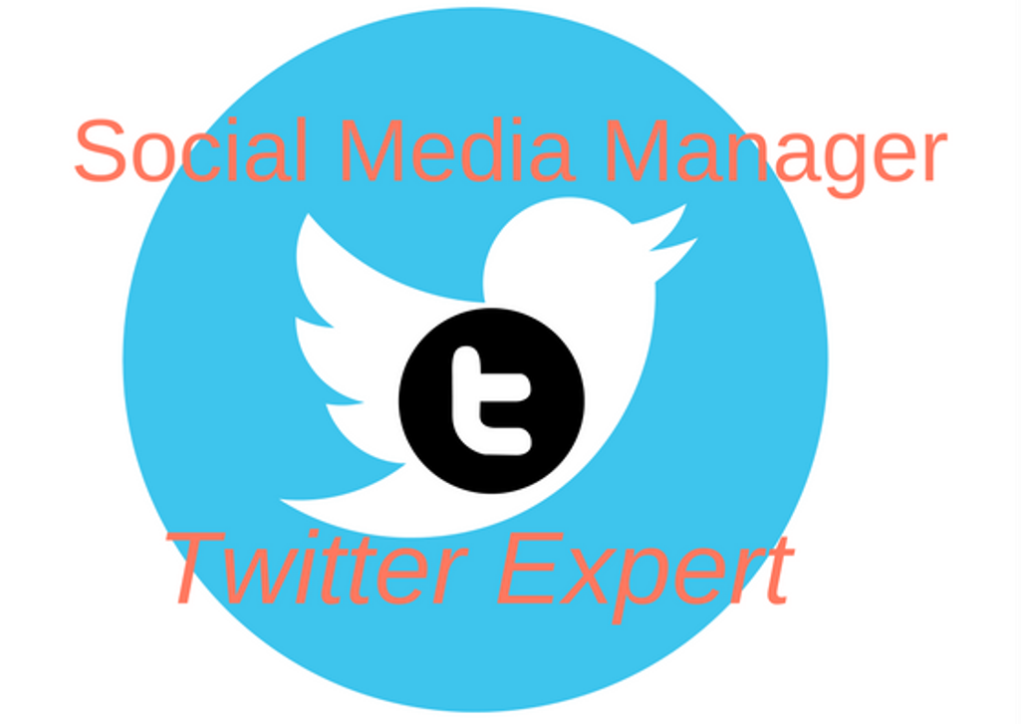 How_2Tweet's tweet image. Manage your #twitter account for a week for $10 via @PeoplePerHour peopleperhour.com/hourlie/manage… #SocialMedia #freelance