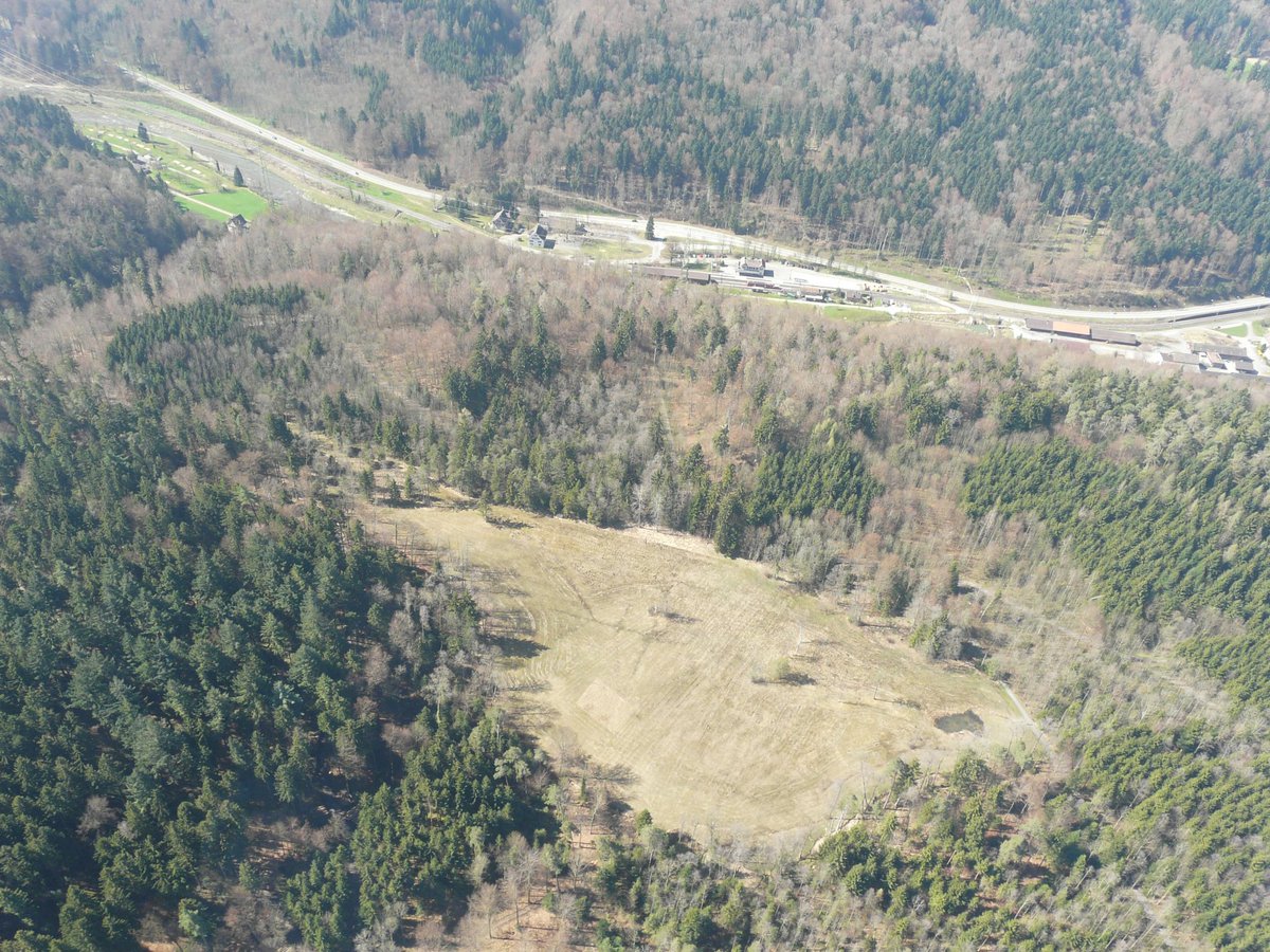Forstrevier's tweet photo. Forstrevier Thalwil von oben https://t.co/cN4NA8I6IF