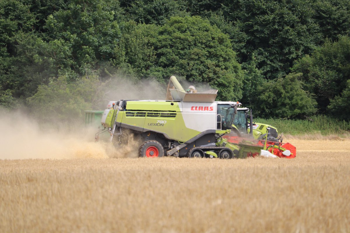 Harvest under way in Suffolk #Harvest17 <a href="/farmerwellsie/">Mark Wells</a> <a href="/stevenbrummitt/">Steven Brummitt</a> <a href="/claas_anglia/">CLAAS Manns Ltd</a>