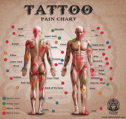Tattooforaweek's tweet photo. Getting tattooed? Be sure to check this pain chart first! #pain #tattoo #ink #chart #painchart #firsttattoo https://t.co/ibozd6PZVk